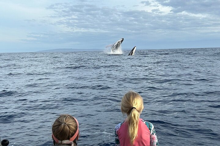 Eco-raft tour op Maui met walvis- en dolfijnspotting op ooghoogte, foto 35 | wizardtrip