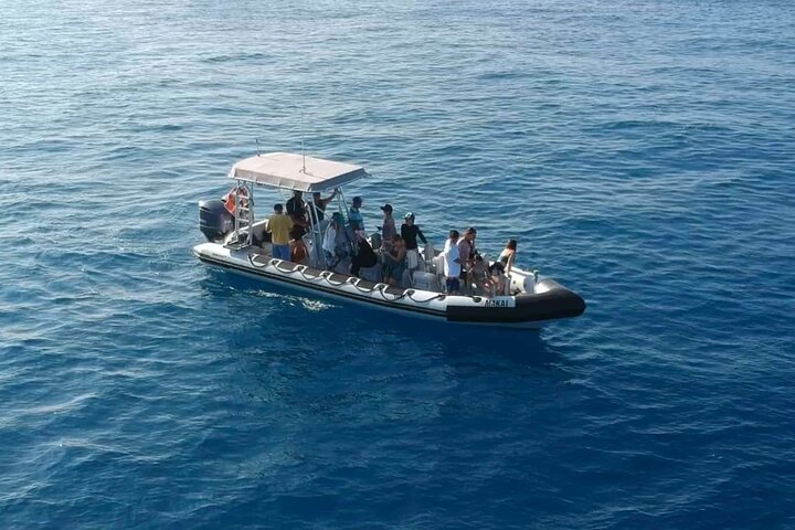 Eco-raft tour op Maui met walvis- en dolfijnspotting op ooghoogte, foto 41 | wizardtrip