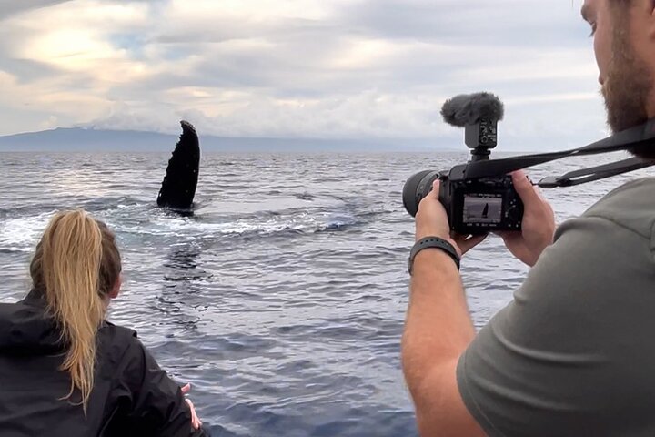 Eco-raft tour op Maui met walvis- en dolfijnspotting op ooghoogte, foto 50 | wizardtrip
