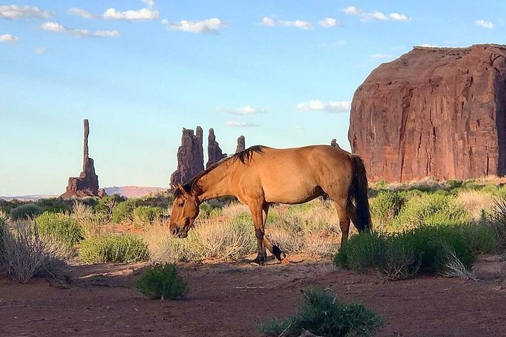 Monument Valley Gruppetur - 3 timer - Navajo Spirit Tours | wizardtrip