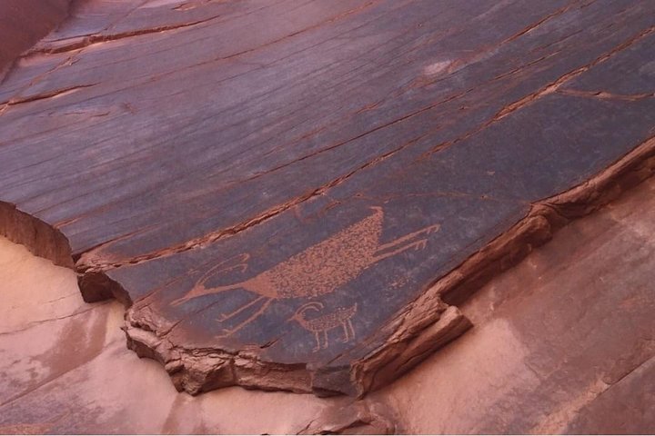 Verken de majestueuze rode rotsformaties en het culturele erfgoed van Monument Valley tijdens een begeleide Navajo-tour, foto 7 | wizardtrip
