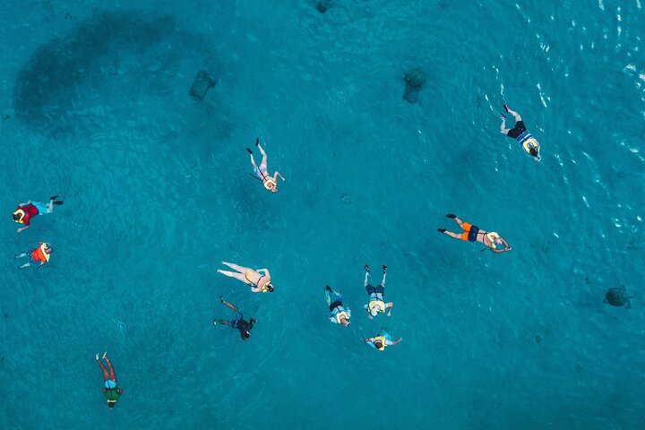 Aventure Snorkeling à Turtle Canyon à Waikiki - 2h | wizardtrip
