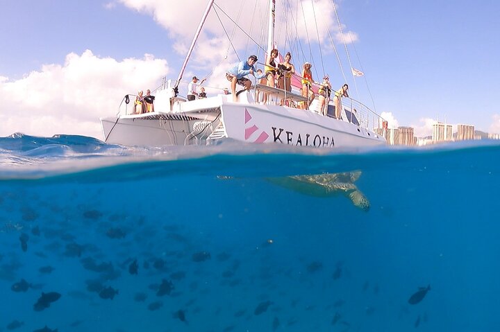 Snorkling-eventyr i Waikiki, Oahu, med havskildpadder og koralrev, foto 11 | wizardtrip