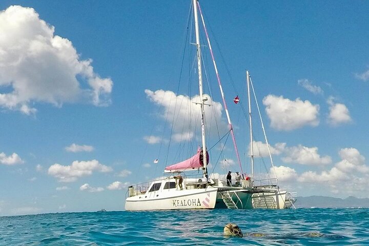 Snorkling-eventyr i Waikiki, Oahu, med havskildpadder og koralrev, foto 15 | wizardtrip
