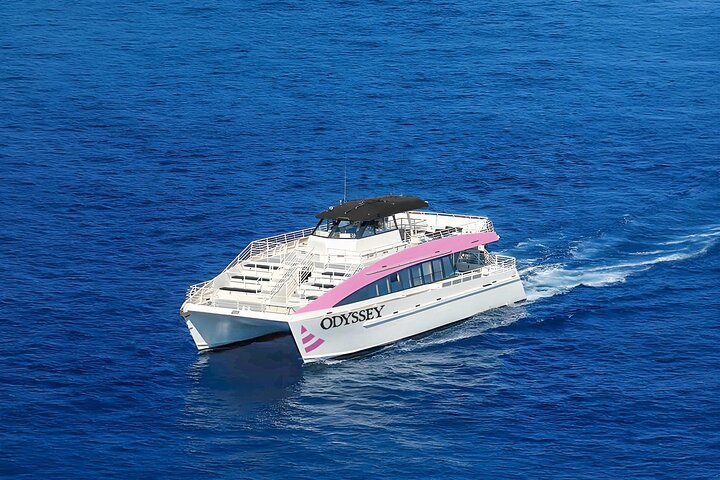 Katamaran kryssning på natten med fyrverkerier över Waikiki, Oahu, foto 9 | wizardtrip
