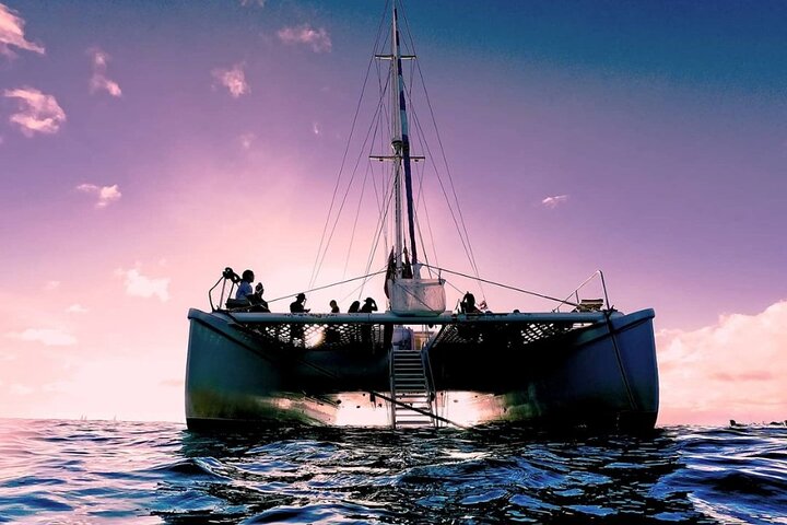 Njut av en hisnande solnedgångskryssning med katamaran och badmöjligheter utanför Waikikis kust, Oahu, foto 12 | wizardtrip