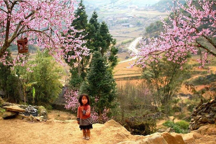 Sapa 3 Days 2 Nights Trekking Tour (1 Night In Ta Van Village, 1 Night In Hotel) | wizardtrip