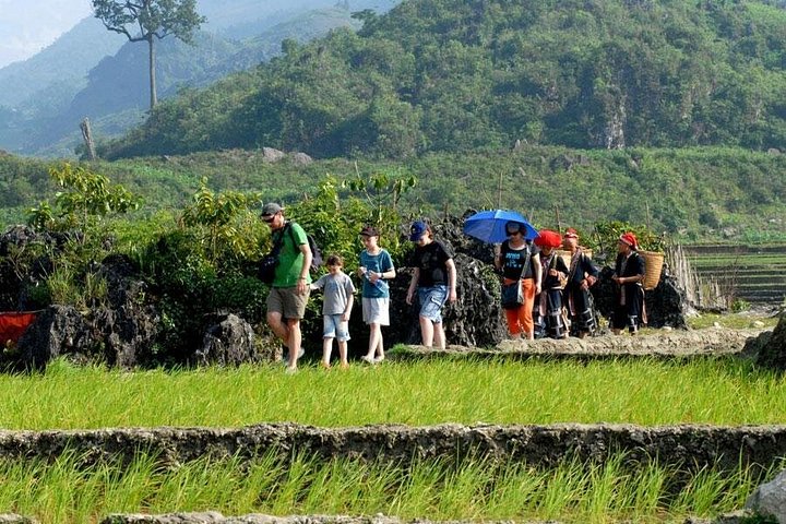 Trekking through scenic rice terraces and ethnic villages in Sapa, Vietnam, photo 7 | wizardtrip