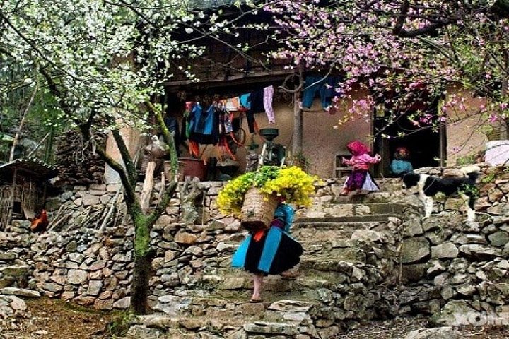 Trekking through scenic rice terraces and ethnic villages in Sapa, Vietnam, photo 8 | wizardtrip