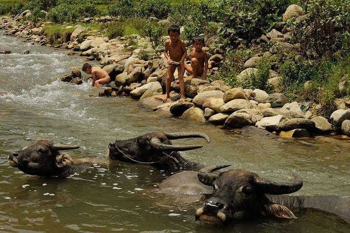 Trekking through scenic rice terraces and ethnic villages in Sapa, Vietnam, photo 9 | wizardtrip