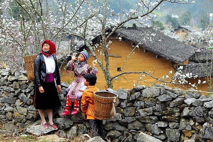 Trekking through scenic rice terraces and ethnic villages in Sapa, Vietnam, photo 10 | wizardtrip