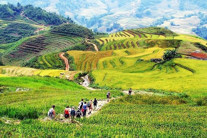 Trekking through scenic rice terraces and ethnic villages in Sapa, Vietnam, photo 11 | wizardtrip