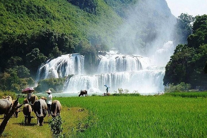 Vues panoramiques de la cascade de Ban Gioc et de la grotte de Nguom Ngao lors d'une visite de 2 jours depuis Hanoï, Vietnam, photo 7 | wizardtrip
