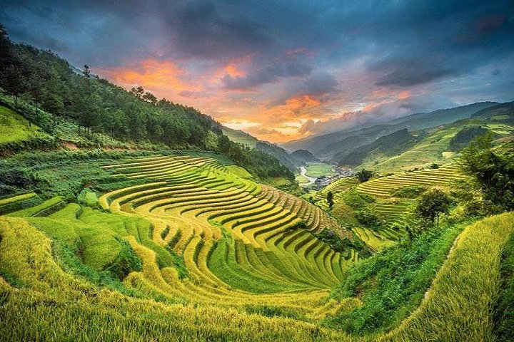 Scenic trek through Sapa's rice terraces and ethnic villages, with a comfortable hotel stay, photo 6 | wizardtrip