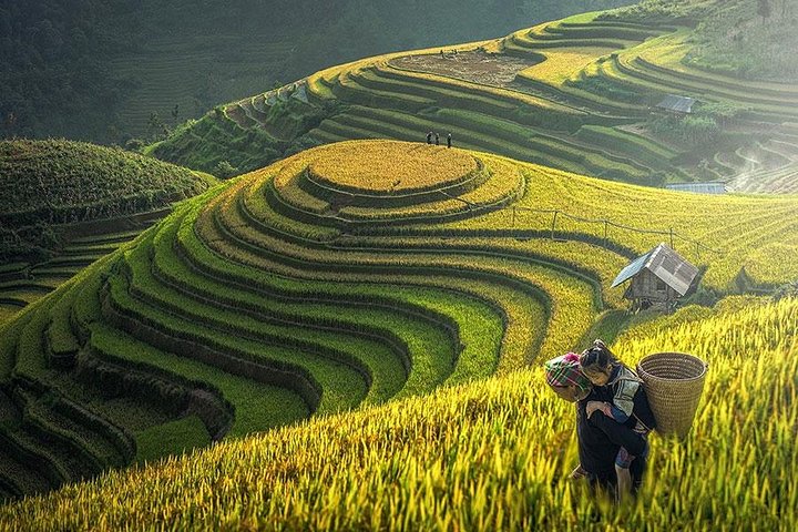 Scenic trek through Sapa's rice terraces and ethnic villages, with a comfortable hotel stay, photo 11 | wizardtrip
