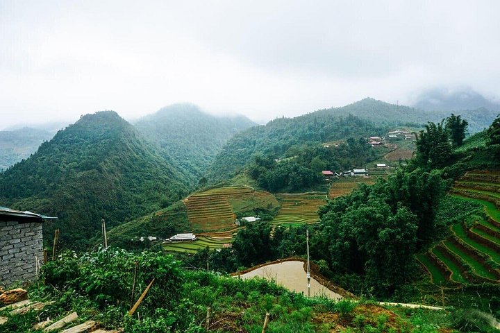 Scenic trek through Sapa's rice terraces and ethnic villages, with a comfortable hotel stay, photo 22 | wizardtrip