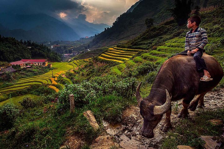 Scenic trek through Sapa's rice terraces and ethnic villages, with a comfortable hotel stay, photo 24 | wizardtrip