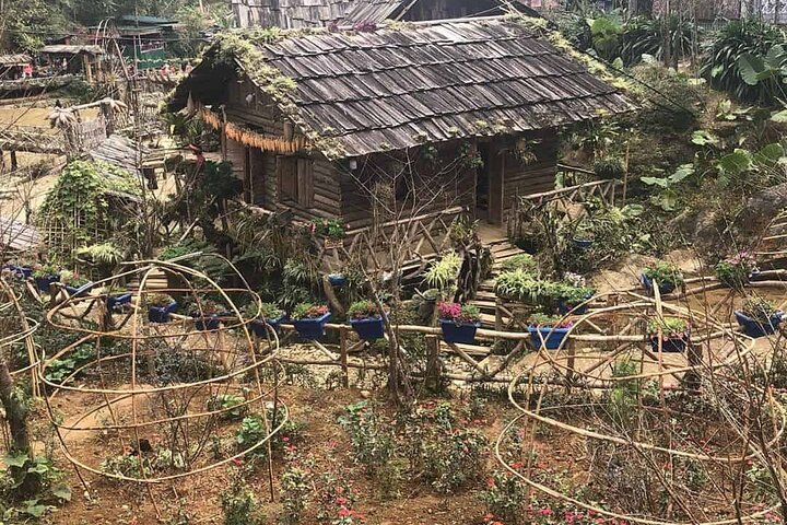 Scenic trek through Sapa's rice terraces and ethnic villages, with a comfortable hotel stay, photo 26 | wizardtrip