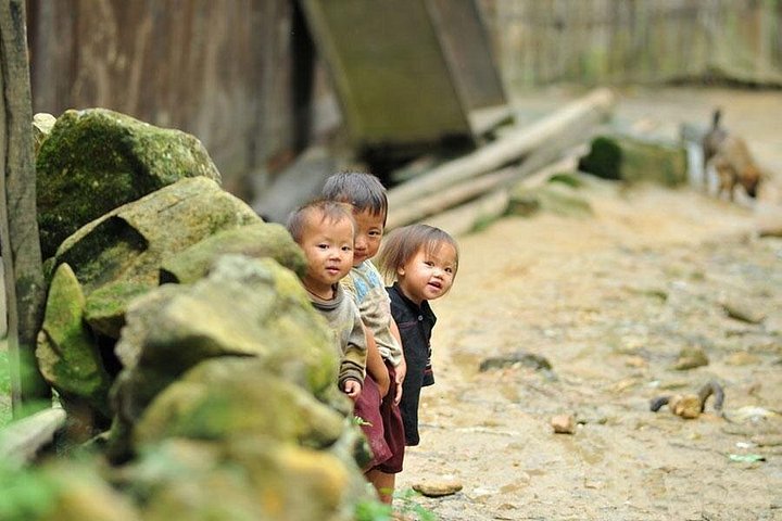 Randonnée à travers les rizières en terrasses à Sapa, Vietnam, photo 7 | wizardtrip