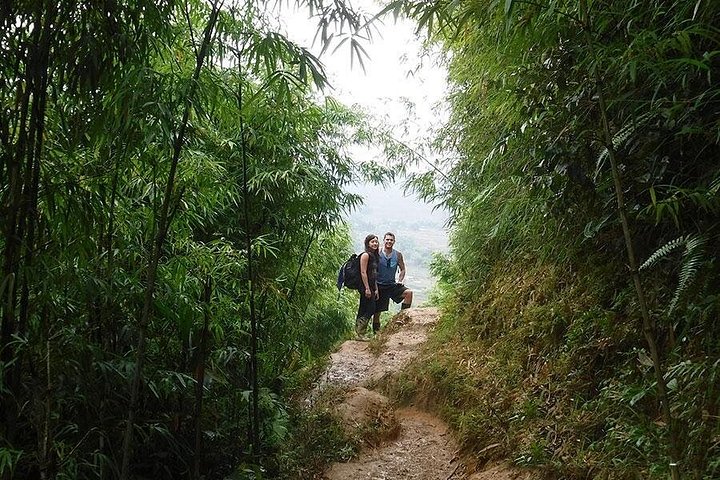 Randonnée à travers les rizières en terrasses à Sapa, Vietnam, photo 12 | wizardtrip
