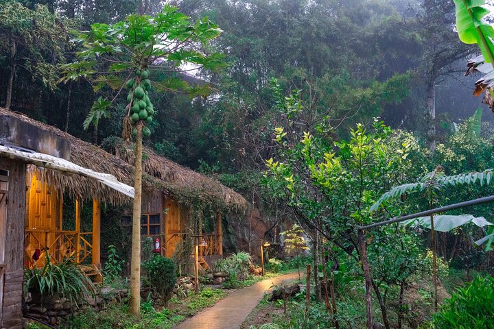 Randonnée à travers les rizières en terrasses à Sapa, Vietnam, photo 14 | wizardtrip