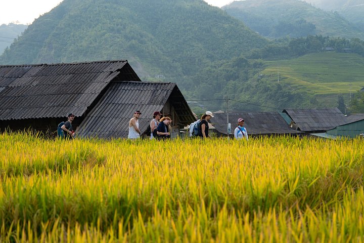 Randonnée à travers les rizières en terrasses à Sapa, Vietnam, photo 32 | wizardtrip