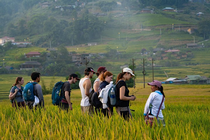 Randonnée à travers les rizières en terrasses à Sapa, Vietnam, photo 34 | wizardtrip