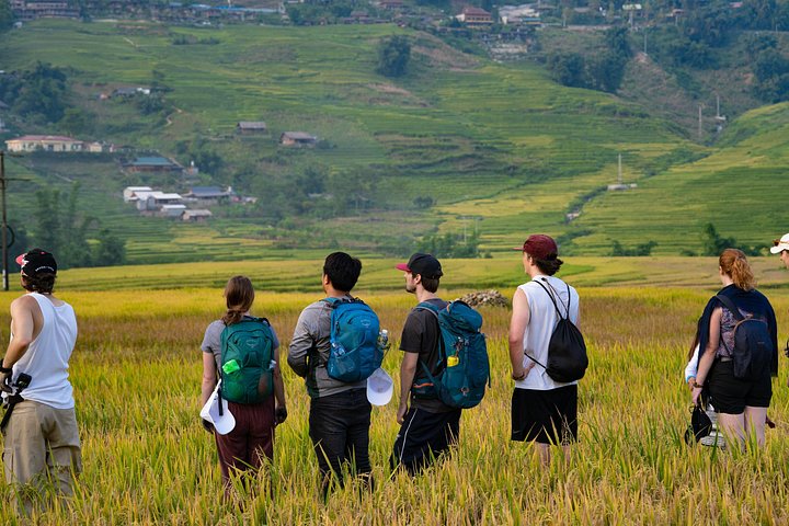 Randonnée à travers les rizières en terrasses à Sapa, Vietnam, photo 35 | wizardtrip