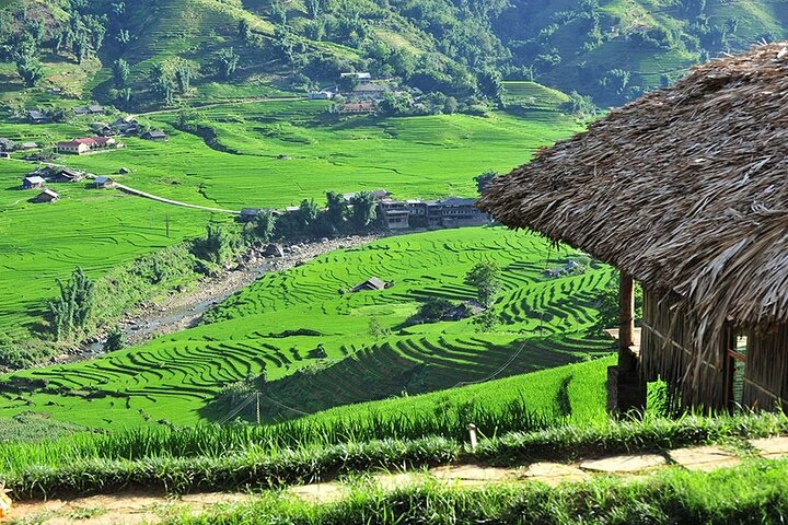 Trekking a través de pintorescas terrazas de arroz en Sapa, Vietnam, foto 6 | wizardtrip