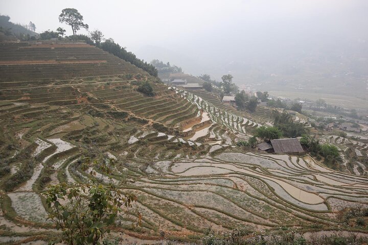 Trekking a través de pintorescas terrazas de arroz en Sapa, Vietnam, foto 14 | wizardtrip