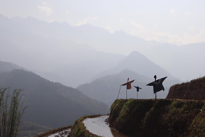 Trekking a través de pintorescas terrazas de arroz en Sapa, Vietnam, foto 19 | wizardtrip