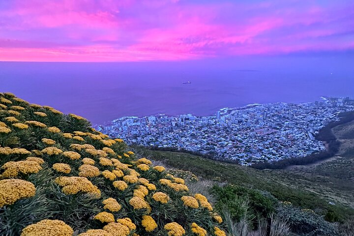 Randonnée sur Lion's Head au Cap pour des vues spectaculaires du lever ou du coucher de soleil sur la ville et l'océan, photo 11 | wizardtrip