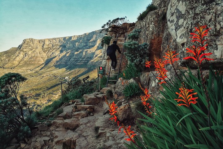 Randonnée sur Lion's Head au Cap pour des vues spectaculaires du lever ou du coucher de soleil sur la ville et l'océan, photo 13 | wizardtrip