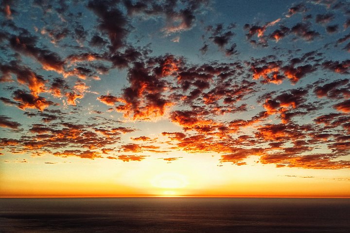 Randonnée sur Lion's Head au Cap pour des vues spectaculaires du lever ou du coucher de soleil sur la ville et l'océan, photo 15 | wizardtrip