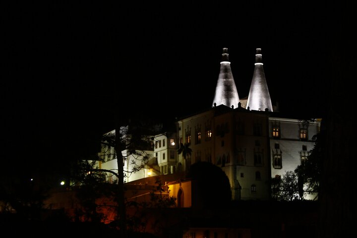 Private tour exploring Sintra's Pena Palace, Regaleira, and coastal Portugal from Lisbon, photo 9 | wizardtrip