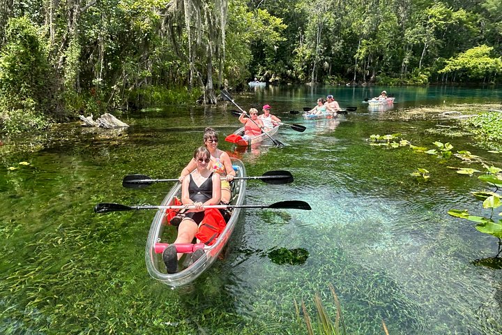 Tour guidato in kayak trasparente o paddleboard nel Silver Springs State Park, Florida, con avvistamento di fauna selvatica, foto 6 | wizardtrip