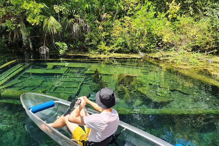 Tour guidato in kayak trasparente o paddleboard nel Silver Springs State Park, Florida, con avvistamento di fauna selvatica, foto 8 | wizardtrip