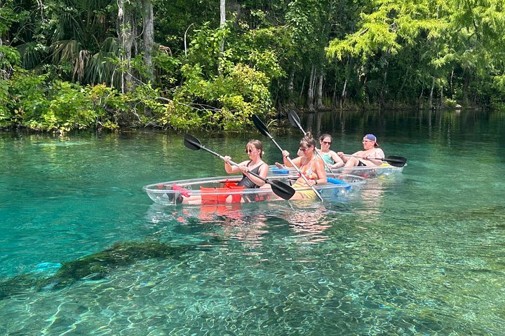 Tour guidato in kayak trasparente o paddleboard nel Silver Springs State Park, Florida, con avvistamento di fauna selvatica, foto 11 | wizardtrip