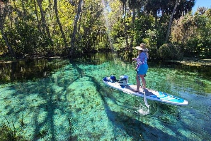 Tour guidato in kayak trasparente o paddleboard nel Silver Springs State Park, Florida, con avvistamento di fauna selvatica, foto 12 | wizardtrip