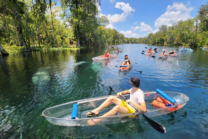 Tour guidato in kayak trasparente o paddleboard nel Silver Springs State Park, Florida, con avvistamento di fauna selvatica, foto 17 | wizardtrip