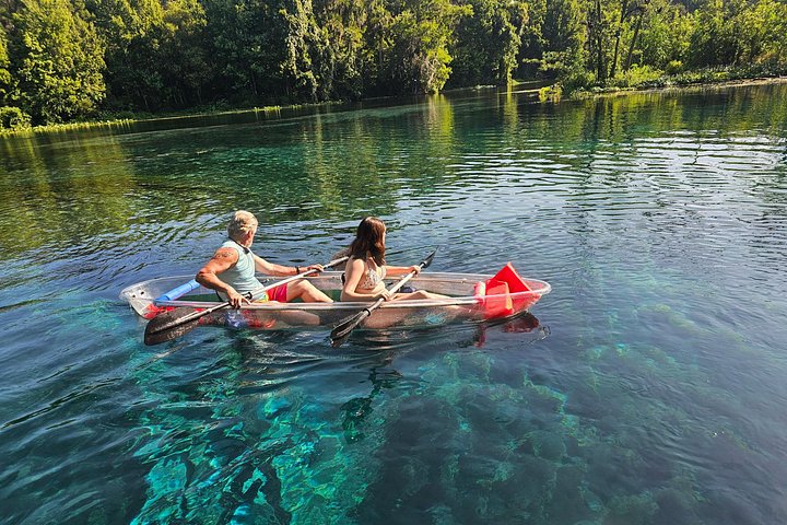 Tour guidato in kayak trasparente o paddleboard nel Silver Springs State Park, Florida, con avvistamento di fauna selvatica, foto 19 | wizardtrip