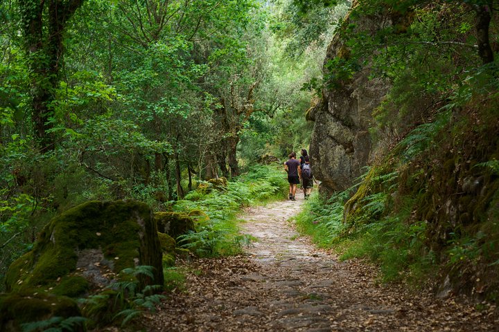 Explore as cascatas, lagoas e aldeias tradicionais do Parque Nacional Peneda-Gerês numa aventura 4x4 a partir do Porto, foto 15 | wizardtrip