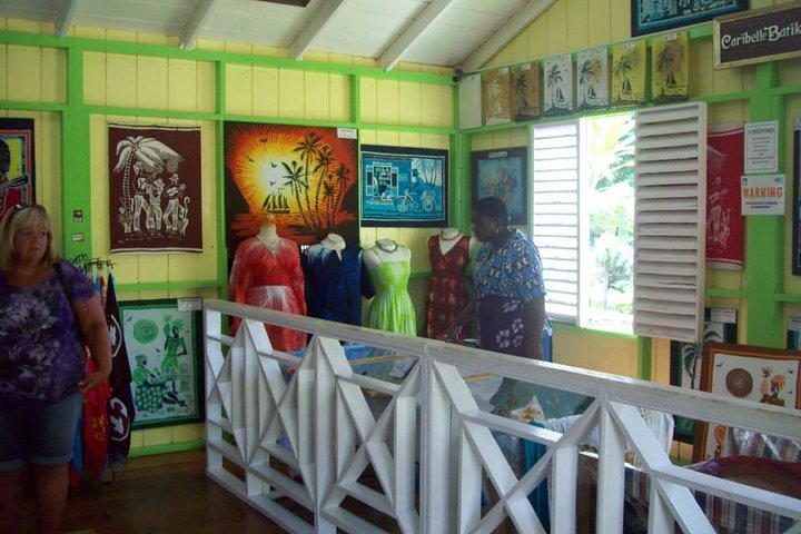 Panoramatour der Insel St. Kitts mit historischen Stätten, Naturlandschaften und Küstenansichten, Foto 12 | wizardtrip