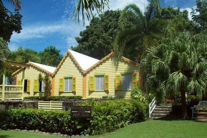 Panoramatour der Insel St. Kitts mit historischen Stätten, Naturlandschaften und Küstenansichten, Foto 13 | wizardtrip
