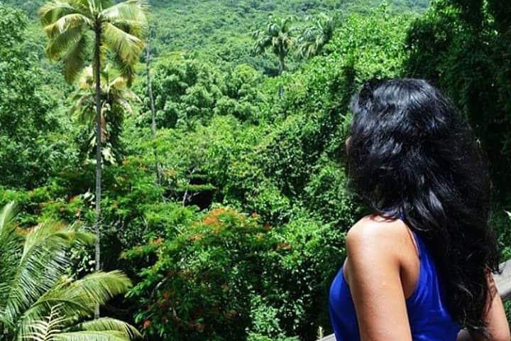 Panoramatour der Insel St. Kitts mit historischen Stätten, Naturlandschaften und Küstenansichten, Foto 14 | wizardtrip