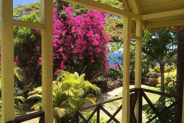 Panoramatour der Insel St. Kitts mit historischen Stätten, Naturlandschaften und Küstenansichten, Foto 16 | wizardtrip