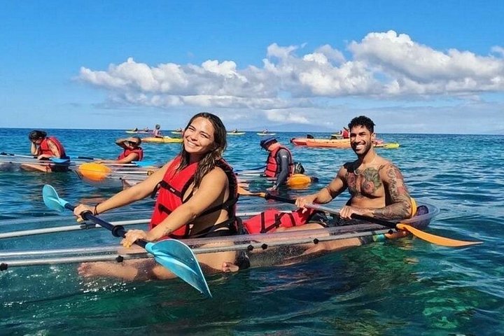 マウイ島 クリアカヤック＆シュノーケルツアー ウミガメと泳ごう | wizardtrip