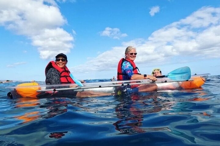 Kajak- und Schnorcheltour mit durchsichtigem Boden auf Maui, Erkundung von Korallenriffen und Meeresleben mit Meeresschildkröten, Foto 13 | wizardtrip