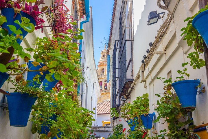 Excursion d'une journée à Cordoue : un voyage historique depuis Malaga | wizardtrip