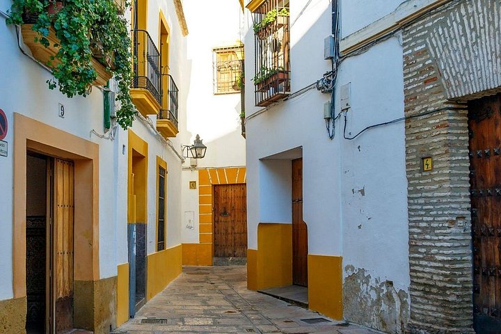 Excursion d'une journée à Cordoue depuis Malaga, avec des sites historiques et le pont romain, photo 9 | wizardtrip